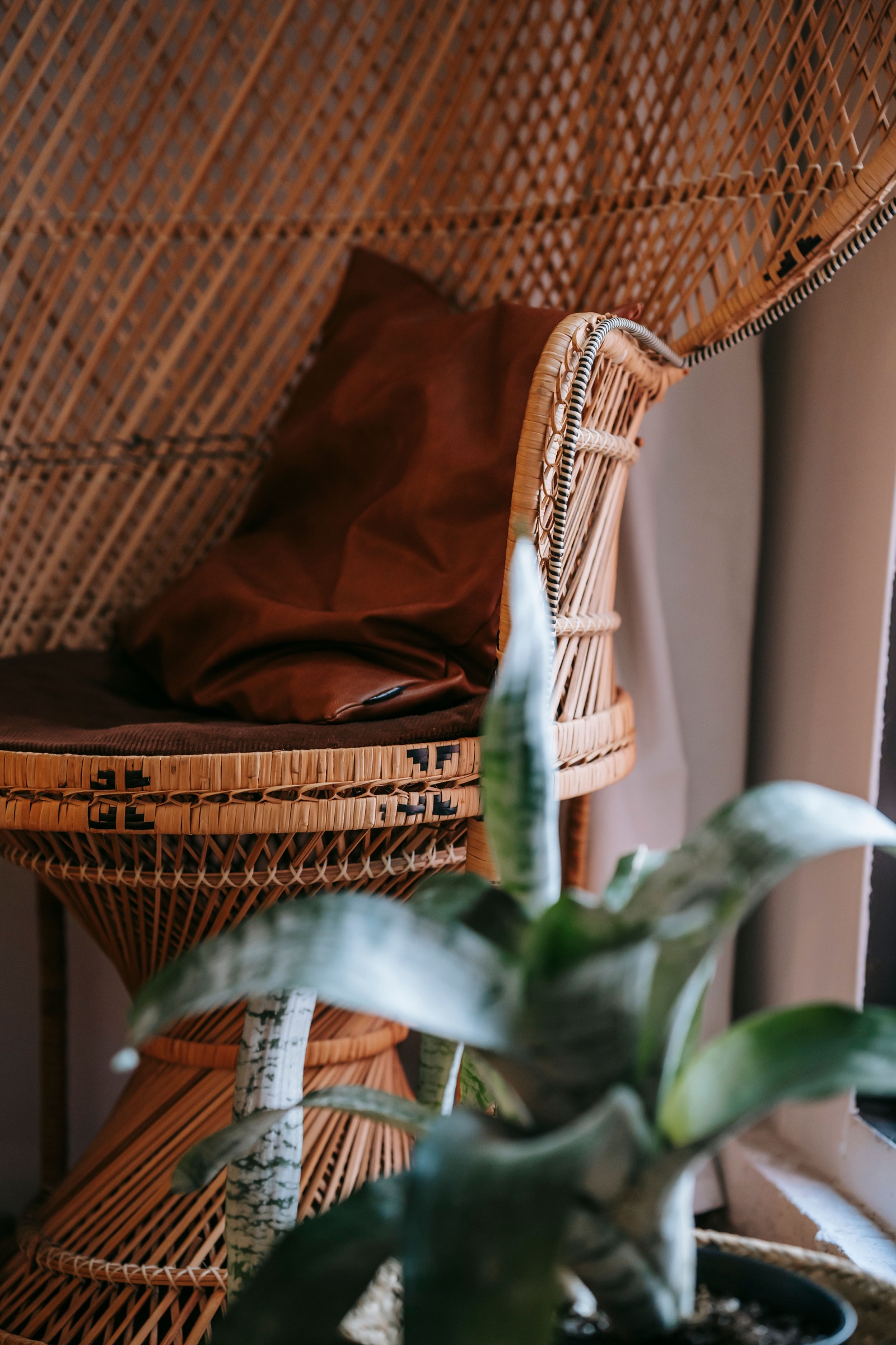 A warm wicker chair with a soft brown cushion beside a leafy houseplant